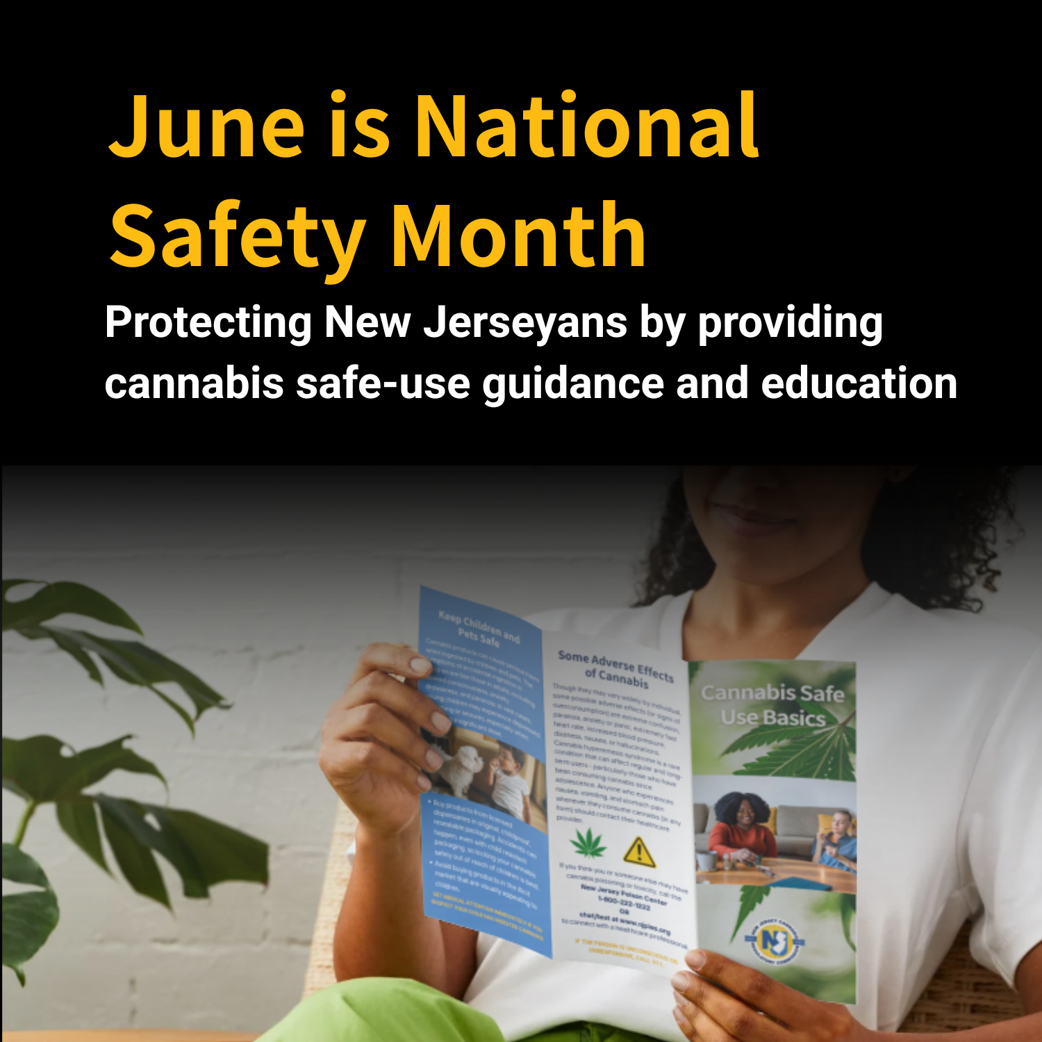 Protecting New Jerseyans through cannabis safe-use guidance and education